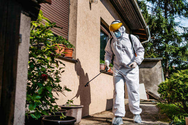 Professional Pest Control in Blanco, TX