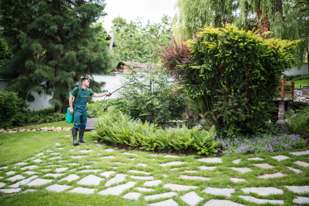 Best Affordable Pest Control Services  in Blanco, TX
