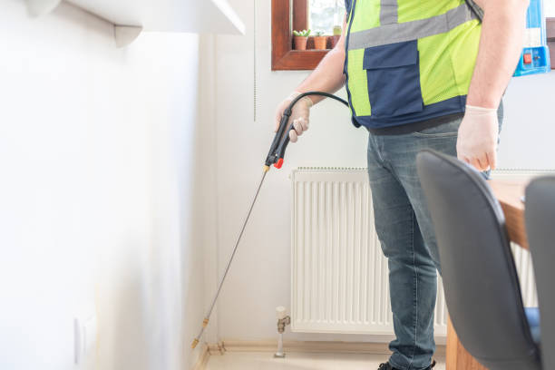 Best Bed Bug Extermination  in Blanco, TX